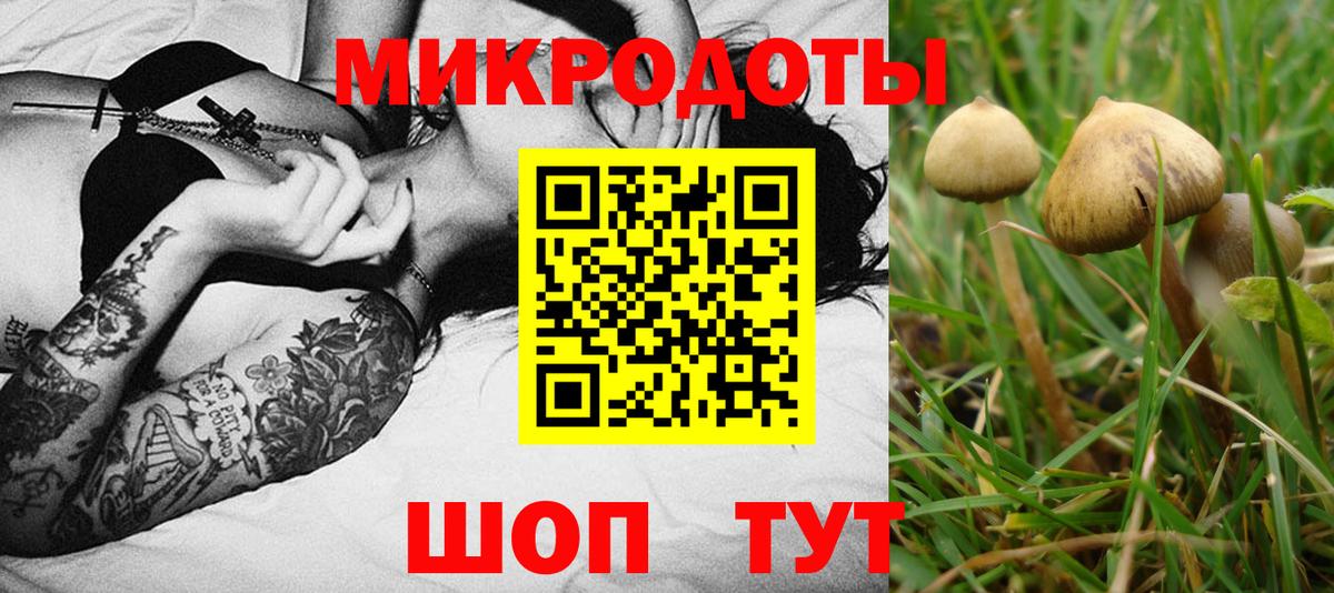 Псилоцибиновые грибы мицелий Каменка
