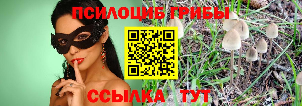 Галлюциногенные грибы Magic Shrooms  где найти   Каменка  Вход с VPN 